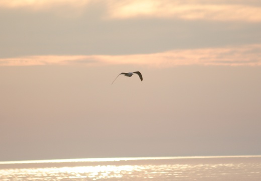 Crystal Lake09 Jeff 0904